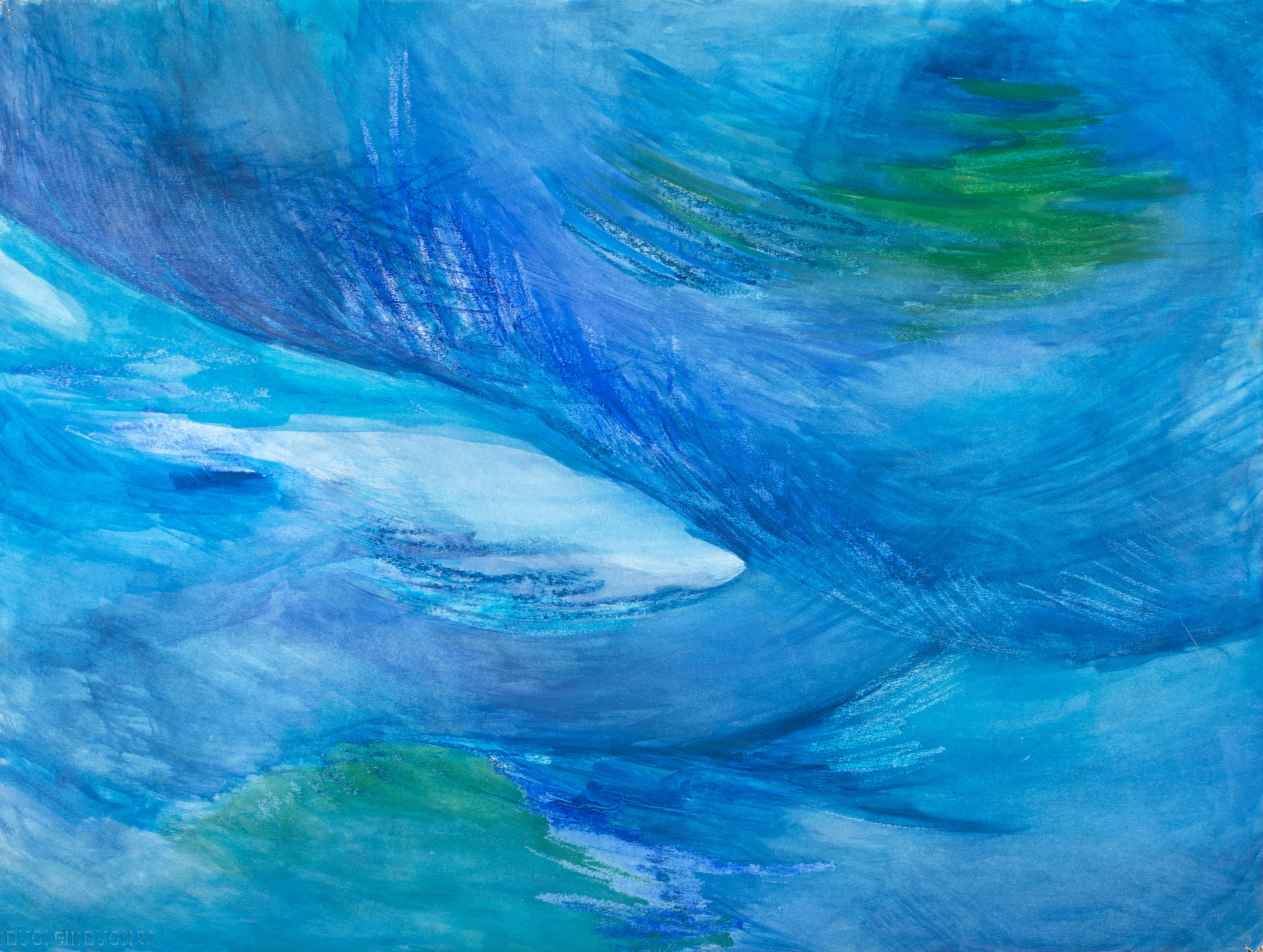 <p>water</p>