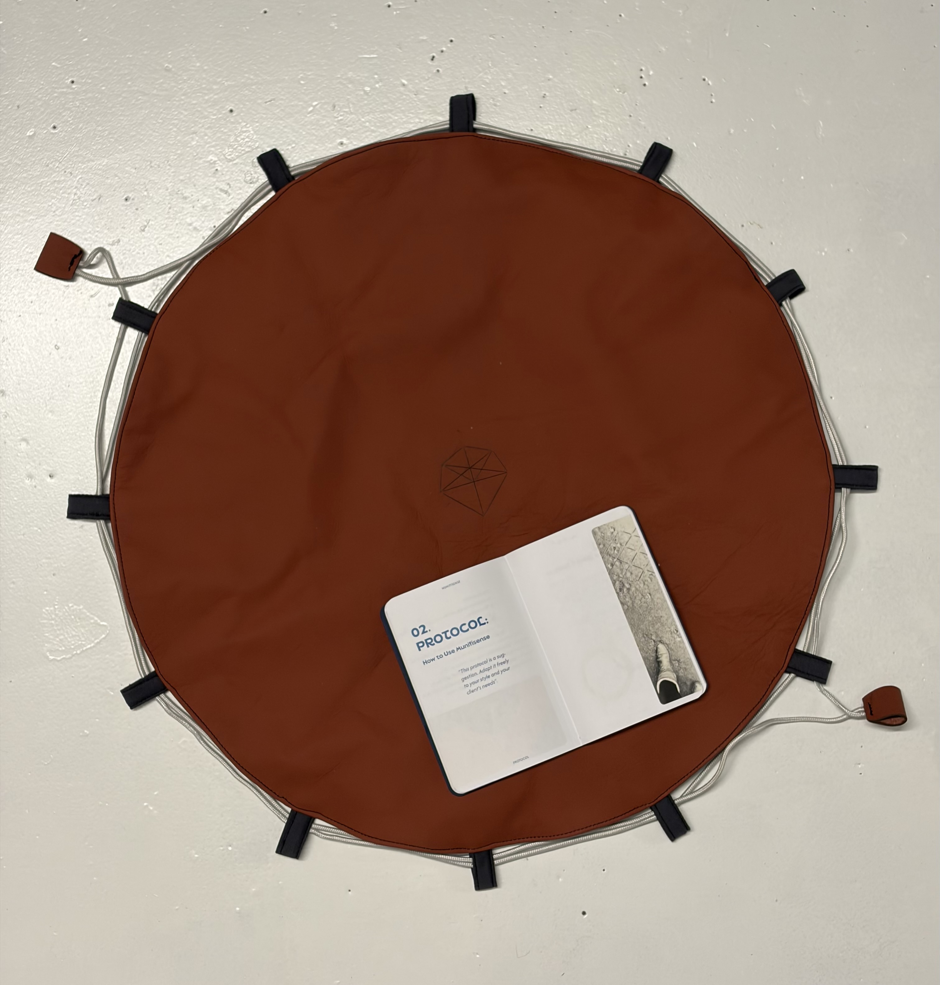 <p>Munifisense Coaching game</p>